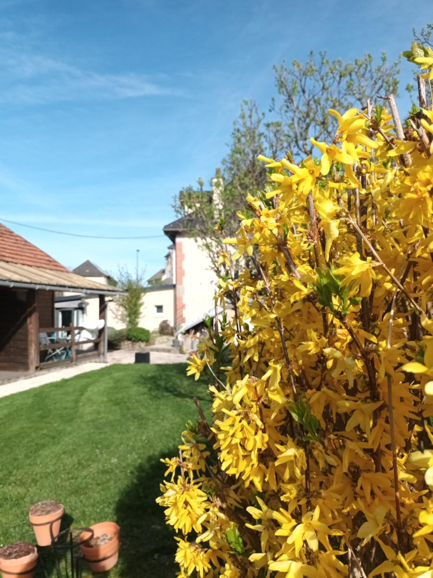 Le Miraillet, Gite Saint-Illide Exterior photo